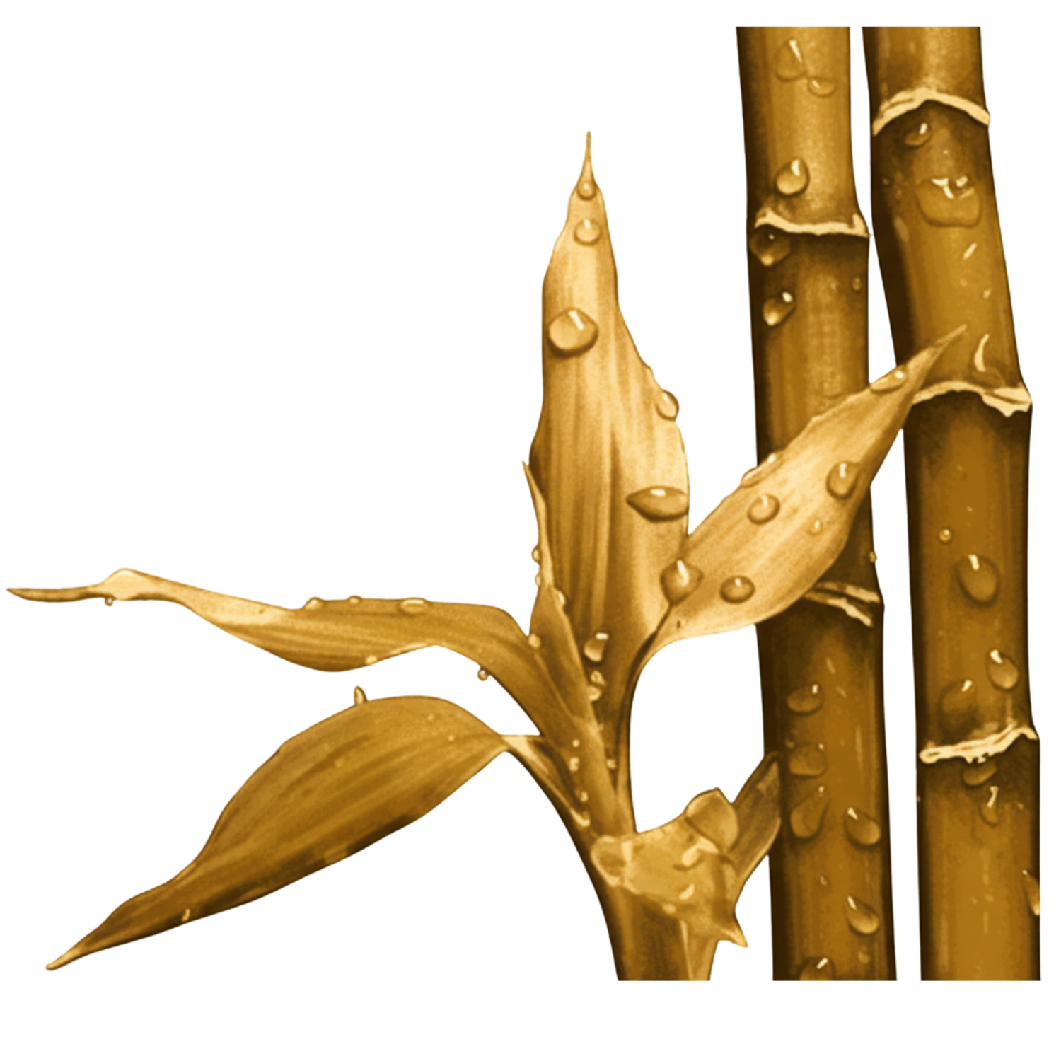 How to Increase Productivity by SEO for Website